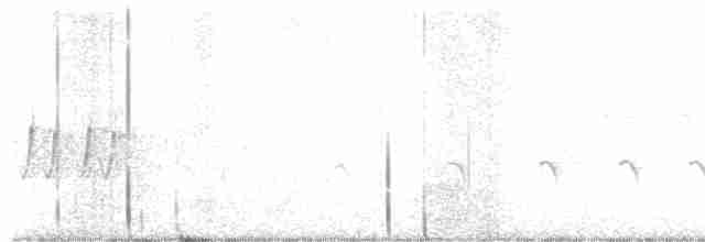 Black-throated Gray Warbler - ML617564064