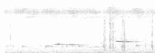 Gözlüklü Yerçavuşu - ML617565115