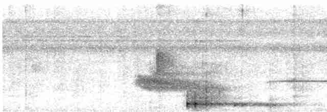 Rostbrust-Ameisenvogel - ML617565378