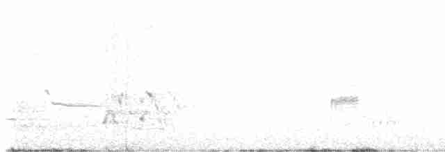 Loggerhead Shrike - ML617566628