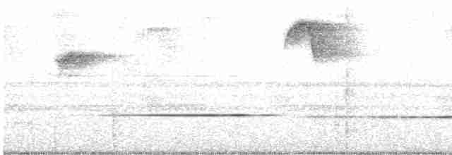 Kestane Göğüslü Çıtkuşu - ML617567241