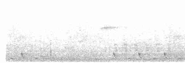 Dschungelnachtschwalbe - ML617567506