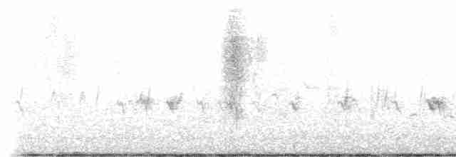 Red Crossbill (Ponderosa Pine or type 2) - ML617568779