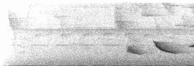 Зернолуск смугастоволий - ML617568855