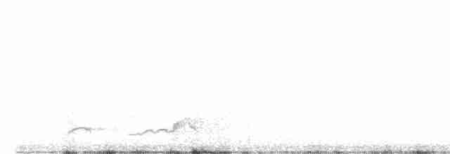 Schwarzkehl-Nachtschwalbe - ML617570193