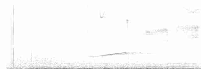 Paruline à gorge noire - ML617570406
