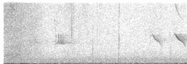 Evening Grosbeak (type 1) - ML617570762