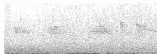 Окулярник сивоспинний - ML617571207