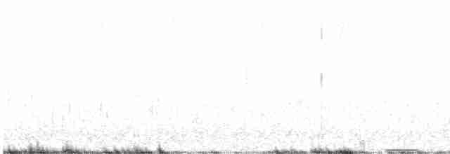 Gallo Oscuro - ML617571796