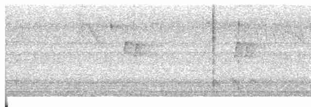 Мухолов-клинодзьоб сірий - ML617574816
