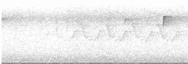 Common Yellowthroat - ML617575121