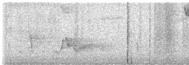 Vireo Ojiblanco - ML617576624