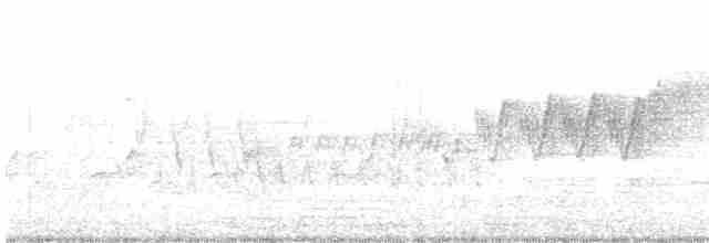 Cerulean Warbler - ML617576957