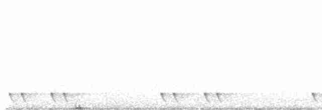 Red-necked Nightjar - ML617577930