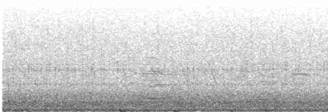 Снежная x Малая белая цапля (гибрид) - ML617578050