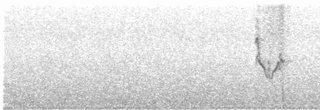 Белокрылая канделита - ML617579284