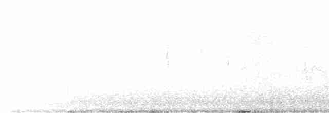 strakapoud proužkohřbetý - ML617579340