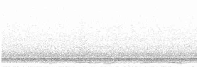 Tourterelle à ailes blanches - ML617581269