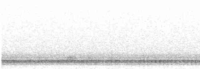 Black-crowned Night Heron - ML617581279