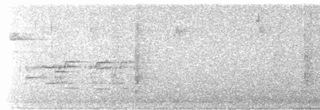 Münzevi Bülbül Ardıcı - ML617585781
