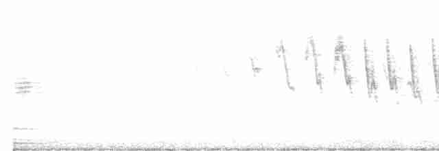 Малая вильсония - ML617589527