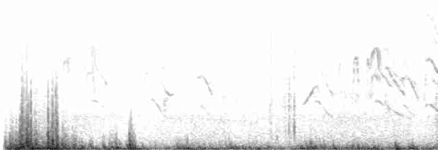セスジツバメ - ML617590088
