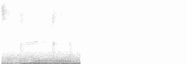 vlhovec červenokřídlý [skupina phoeniceus] - ML617591192