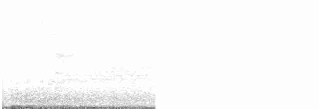 Carouge à épaulettes (groupe phoeniceus) - ML617591303