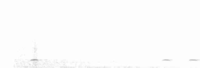 Сичик-горобець гірський (підвид gnoma) - ML617591414