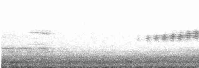 Prairie Warbler - ML617591954