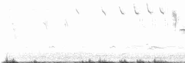 Common Yellowthroat - ML617593843