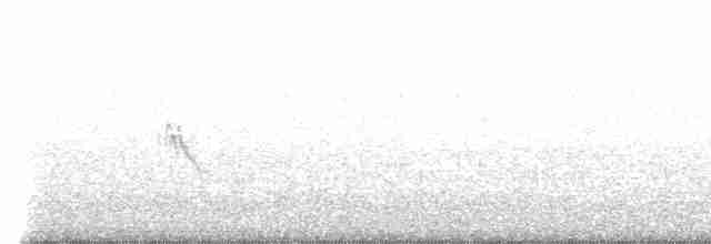 Белокрылая канделита - ML617595984