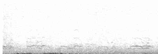 אווז לבן-מצח - ML617596273