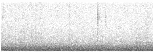 Weißbrustkleiber - ML617596316
