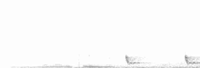 Дрімлюга великохвостий - ML617597354