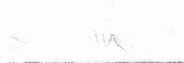 Black-chinned Babbler - ML617597479