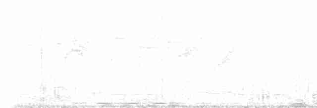 喜馬拉雅中杜鵑 - ML617597684