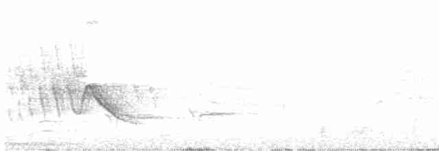 Чагарниця темноброва - ML617597810