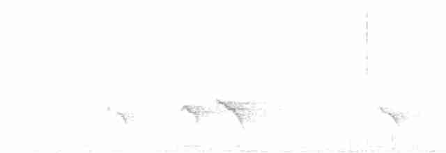 White-browed Shrike-Babbler - ML617597845