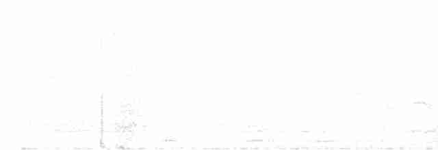 Weißschwanzkleiber - ML617597859