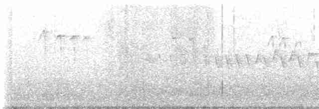 Gözlüklü Baştankara - ML617598077