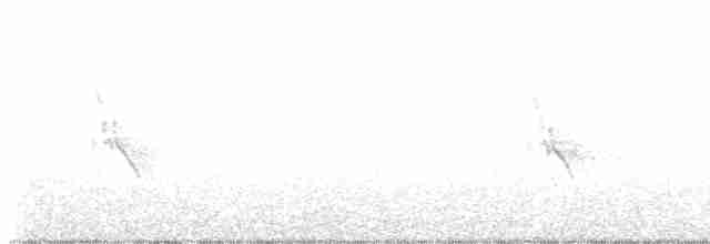Белокрылая канделита - ML617598176