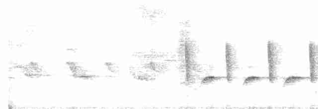 langhaleskredderfugl - ML617598578