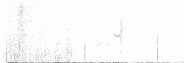 svartbukmaursmett - ML617599384