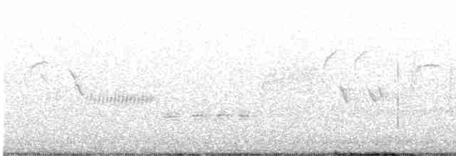 Длиннохвостый крапивник - ML617599731