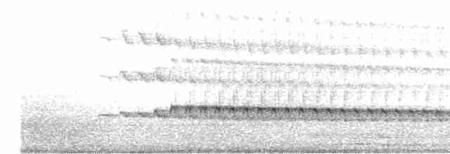 Alción de Esmirna - ML617600462