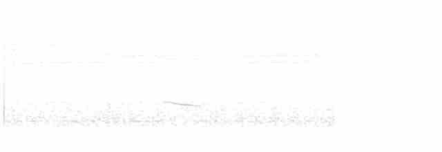 Münzevi Bülbül Ardıcı - ML617601548