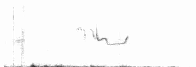 Dromoïque vif-argent - ML617601588