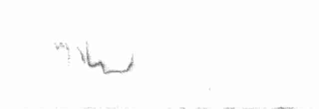 Dromoïque vif-argent - ML617601589