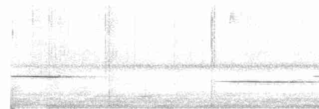 Kestane Göğüslü Çıtkuşu - ML617601711